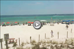 Pineapple Willys Beach Webcam